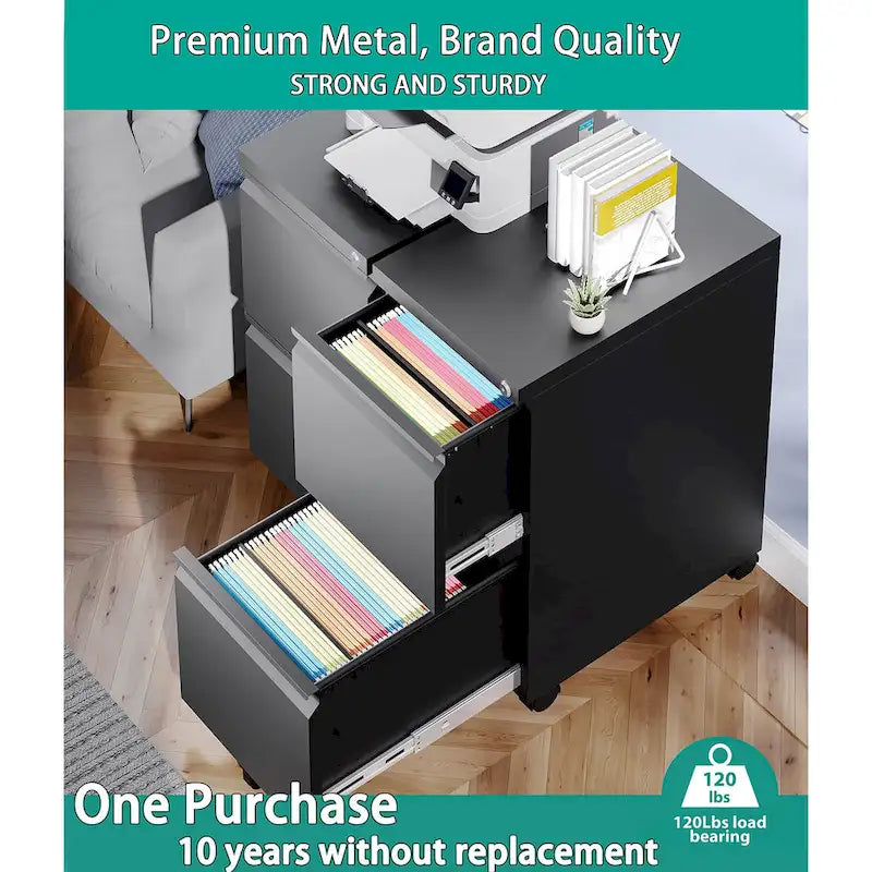 Classeur mobile à 2 tiroirs, tiroirs de rangement sous le bureau, classeurs