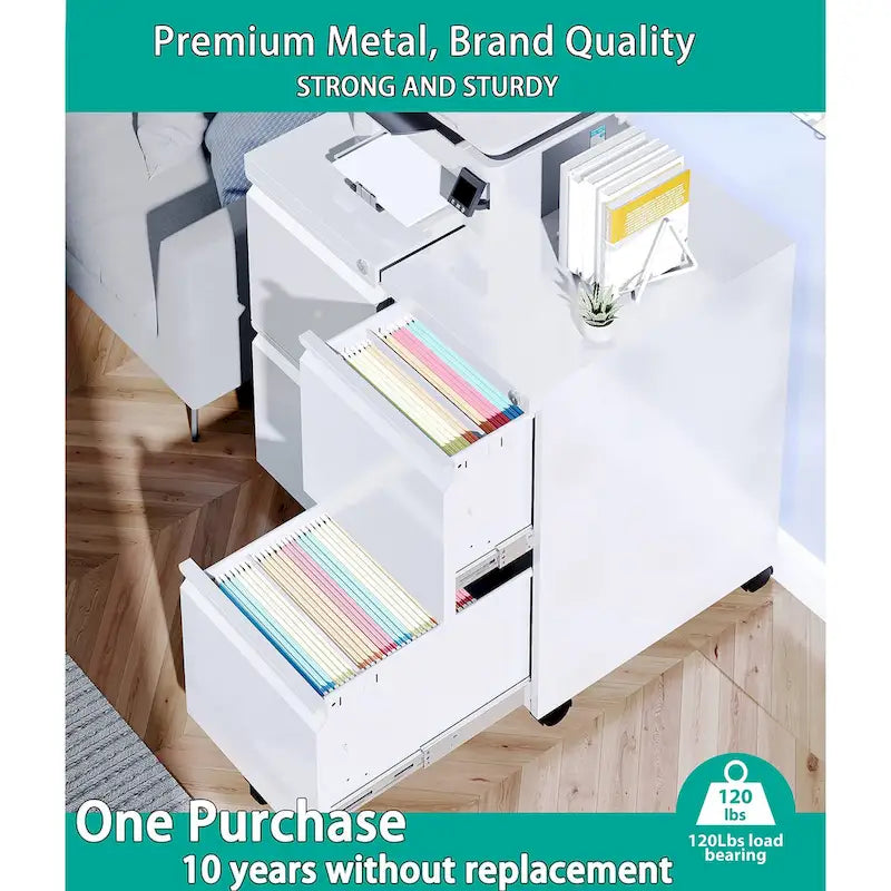 Classeur mobile à 2 tiroirs, tiroirs de rangement sous le bureau, classeurs