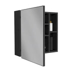 Armoire à pharmacie, trois étagères internes, porte simple, deux étagères externes, finition wengé noir