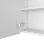 Armoire à pharmacie, trois étagères internes, porte simple, deux étagères externes, finition wengé noir